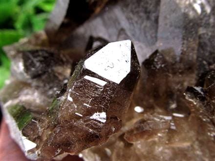 モリオン 黒水晶 クラスター 黒水晶クラスター ブラジル産